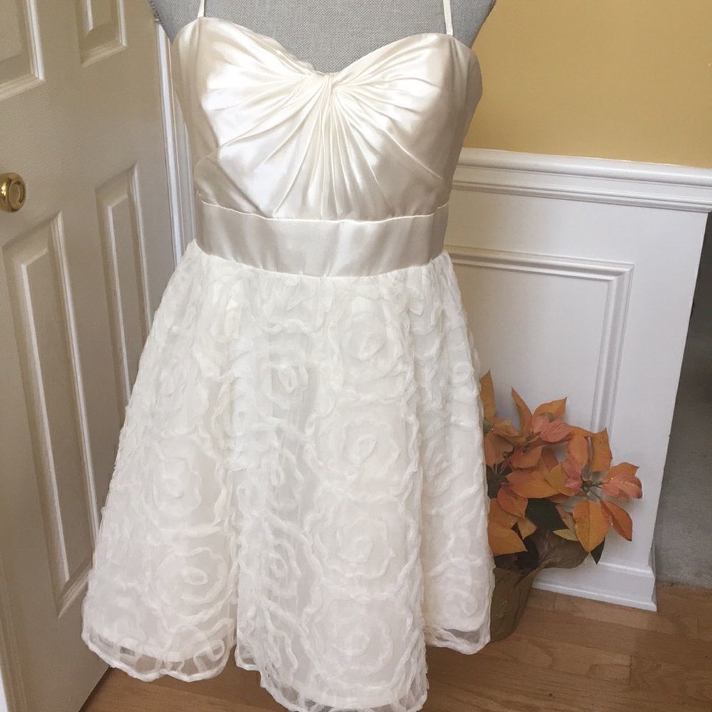 Adriana Papell Party Dress